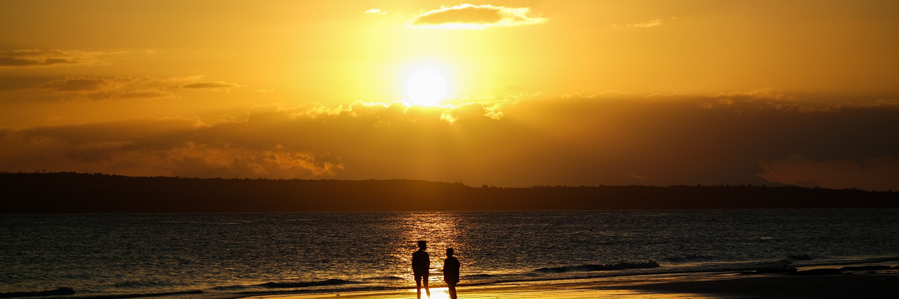 Sunset Dinner